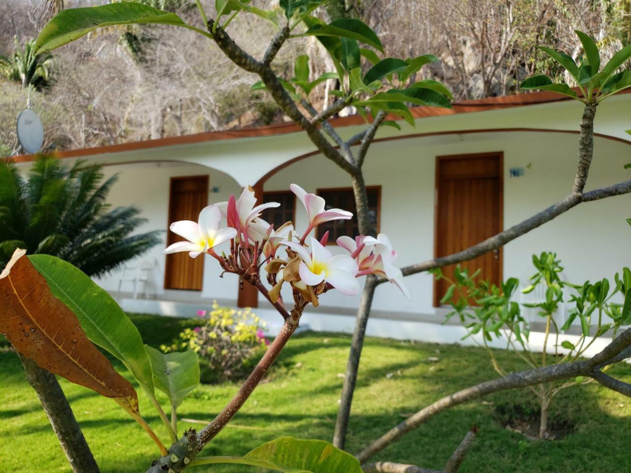Hotel Y Club Campestre Altos Paraiso Puerto Escondido  Esterno foto